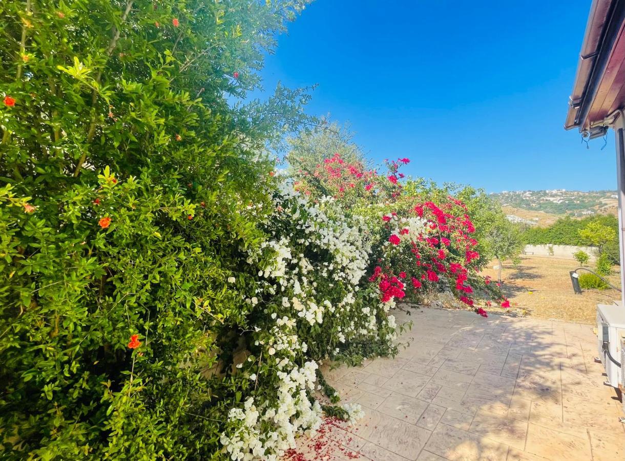 Beautiful Home 파포스 외부 사진